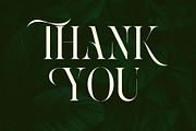 Roxer Stencil - Modern Serif Font, a Serif Font by Nirmana Visual (Thumbnail 11 of 11)