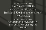 Letter Stylish Serif, a Serif Font by KennedyStudio (Thumbnail 9 of 10)