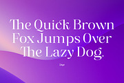 Misticaly Serif, a Serif Font by Megatype (Thumbnail 8 of 20)