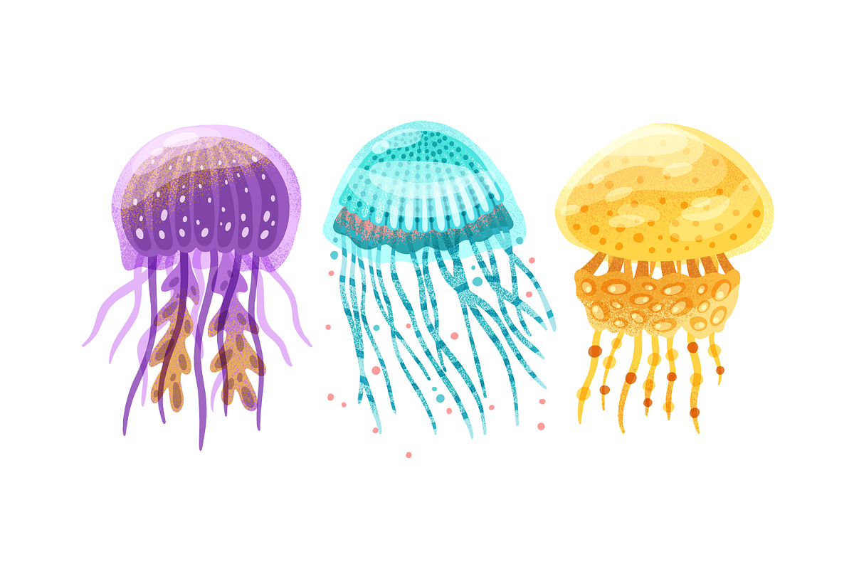 Different jellyfish, sea animals set, an Animal Illustration by Good Studio (Photo 4 of 6)