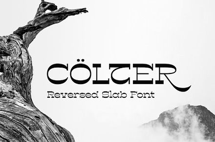 Colter Reversed Slab