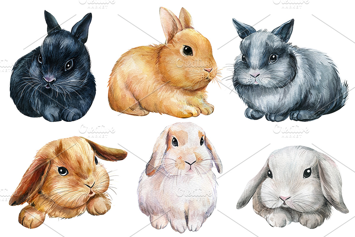 Fluffy bunnies. Watercolor painting, an Animal Illustration by Hanna Hryharenka (Photo 12 of 17)