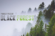 BLACK FOREST, a Font by da_only_aan (Thumbnail 1 of 3)