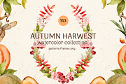 Autumn Harvest Watercolor Collection, a Seasonal Illustration by Pattern + watercolor (Thumbnail 1 of 12)