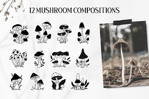 Celestial Mushrooms Collection