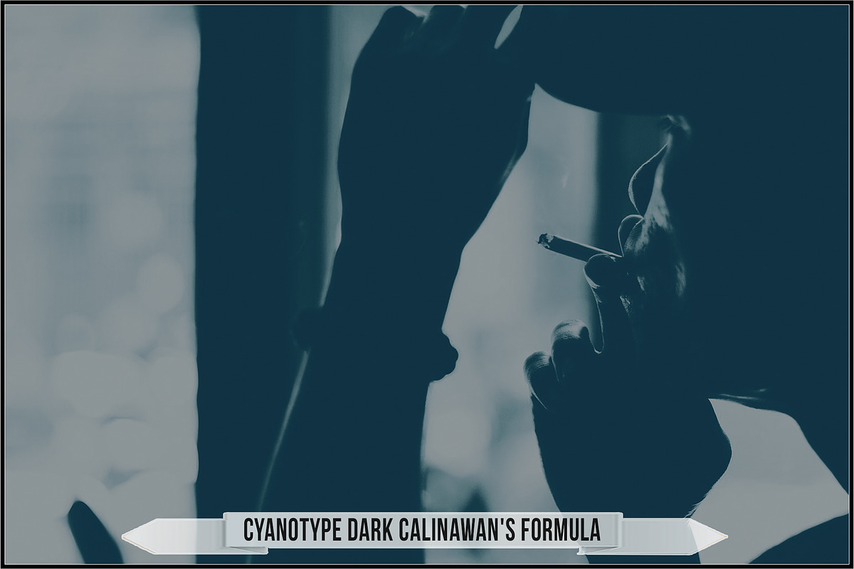 Authentic Cyanotype LUTs, a Plug-in Add-On by Raztrend (Photo 11 of 32)