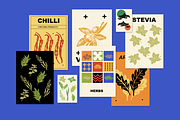 Herbs Illustrations, a Healthcare Illustration by Zhuna (Thumbnail 10 of 10)