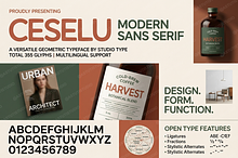 Ceselu - A Refined Luxury Serif