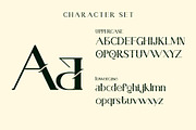 Brove | Beautiful Decorative Serif, a Serif Font by Hole Hope Design (Thumbnail 3 of 7)