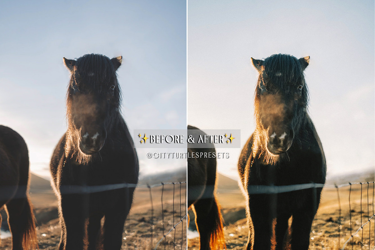 Kodak Portra Film Lightroom Presets, an Action Add-On by CityTurtles (Photo 3 of 10)