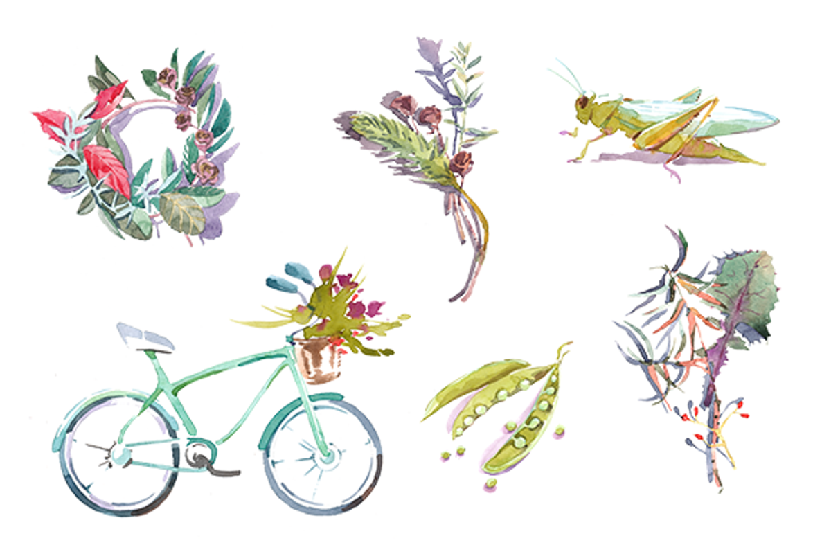 Spring watercolor clipart set, an Illustration by masha gross (Photo 1 of 4)