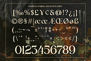 Qasela - Retro Stylish Serif Font, a Serif Font by Qweera Studio (Thumbnail 11 of 12)