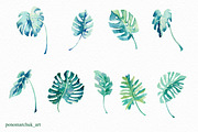 Tropical leaves set, a Decorative Illustration by Colibri Watercolor (Thumbnail 3 of 3)