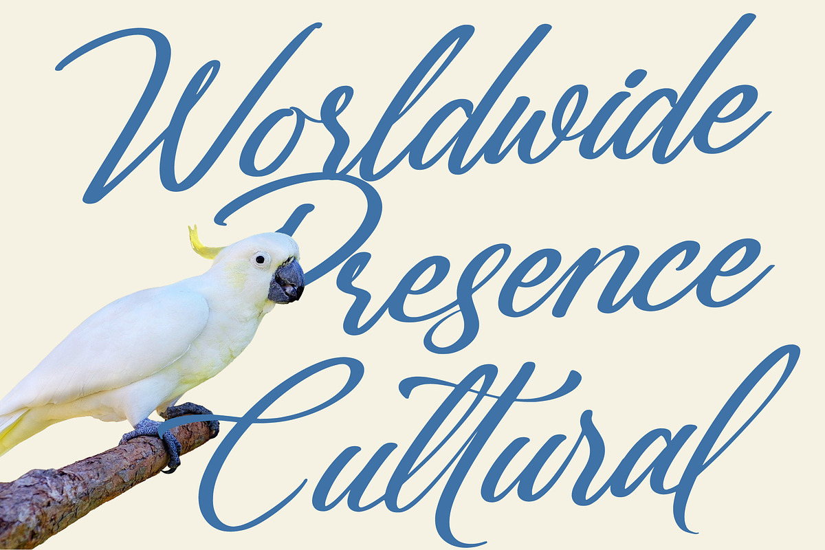 Gartenya Calligraph Modern Font, a Script Font by Letterena Studios Script (Photo 5 of 19)