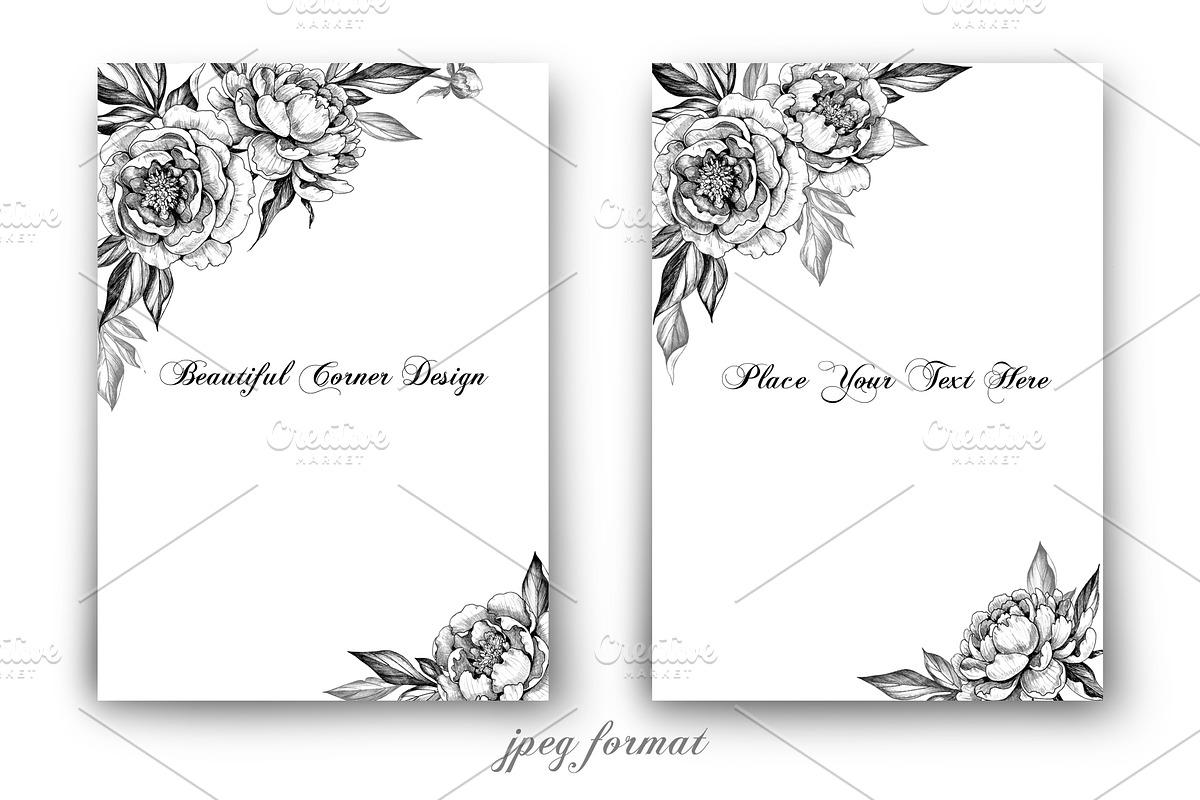 Hand Drawn Peonies, a Decorative Illustration by Valentyna Smordova (Photo 3 of 6)