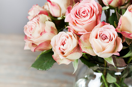 Beautiful roses stock photo containing anniversary and attractive, a Nature Photo by N-foto
