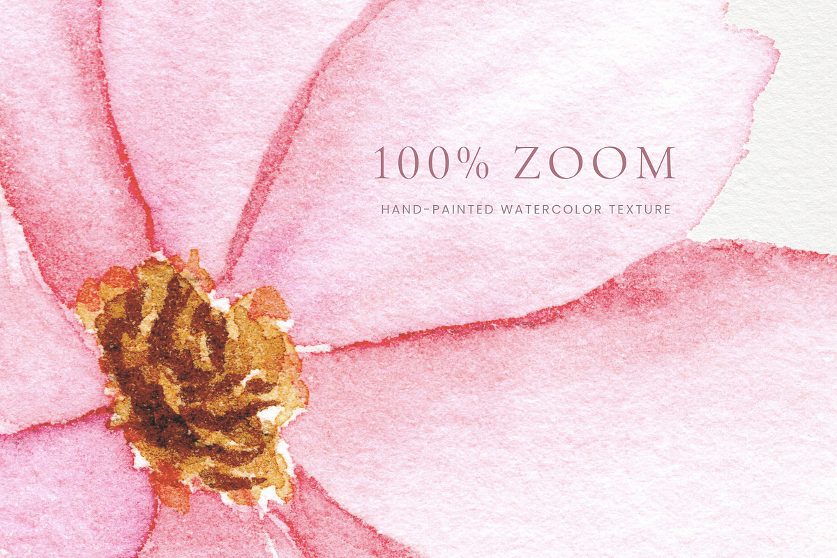 Blush Meadow Watercolor Wildflowers, a Decorative Illustration by Liliia Polos Illustration (Photo 11 of 12)