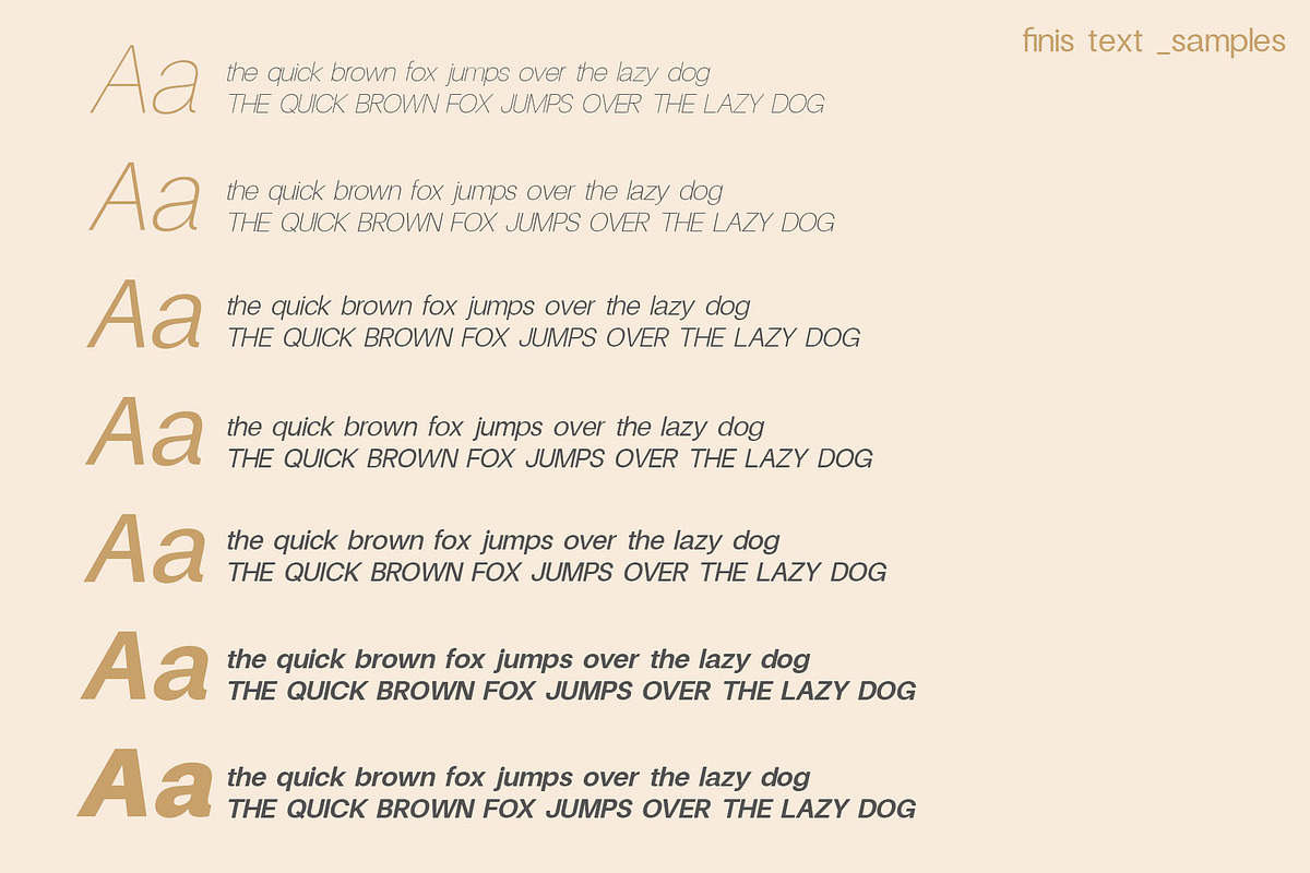 Finis Text [80% OFF], a Sans Serif Font by Alvotype (Photo 4 of 5)