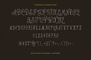 Poetry Velvet Curly Font, a Handwritten Font by Letterhend Studio (Thumbnail 9 of 9)