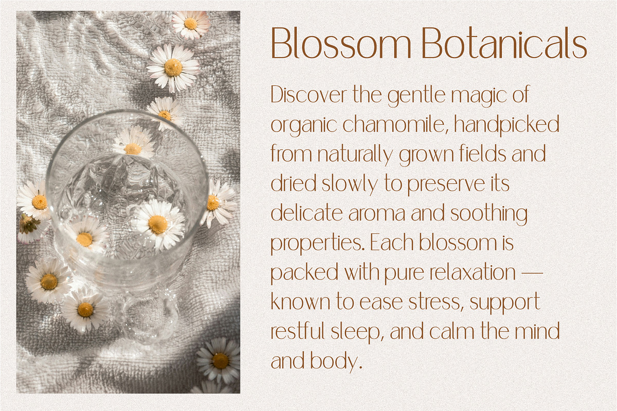 Coraline Sans Serif, a Sans Serif Font by Prestige Artsy Studio (Photo 5 of 9)