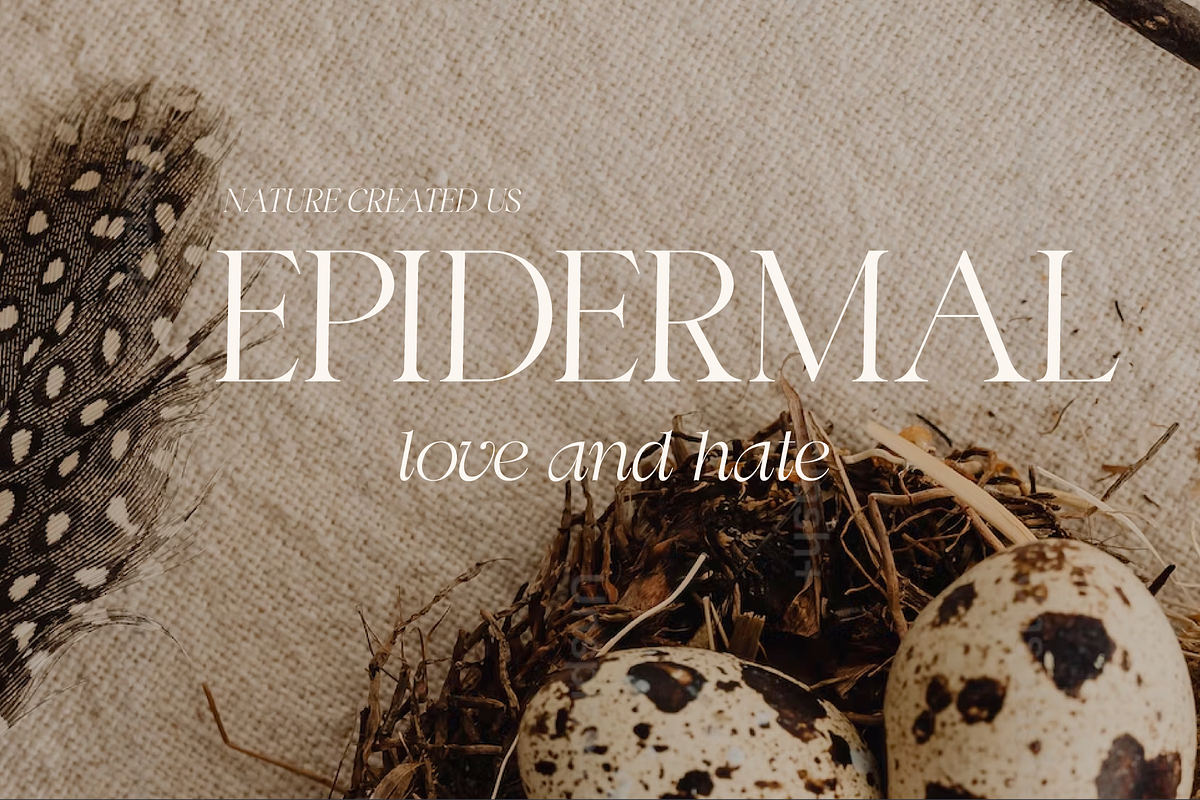 Swily Bright | Classy Font, a Serif Font by Jolicia Type (Photo 8 of 11)