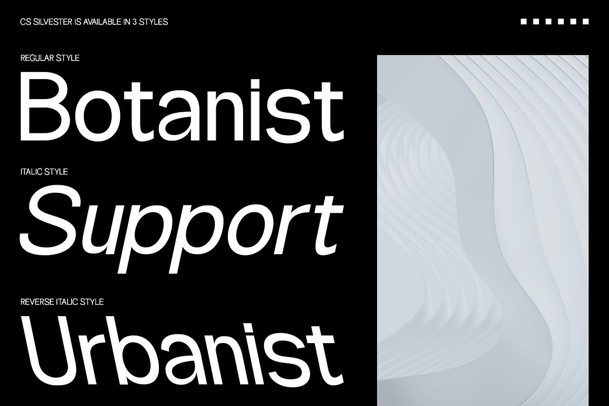 CS Silvester – Geometric Sans Serif, a Sans Serif Font by Craft Supply Co. (Photo 2 of 8)