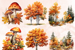 Fall Woodland Forest Clipart