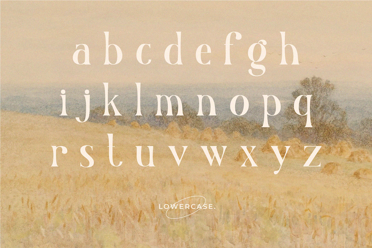 Nadier - Classic Retro Typeface, a Serif Font by Flawless And Co (Photo 6 of 12)
