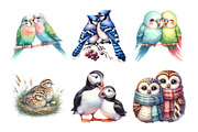 Watercolor Couple Bird Clipart Bundl, an Illustration by Daily.Designs (Thumbnail 5 of 5)