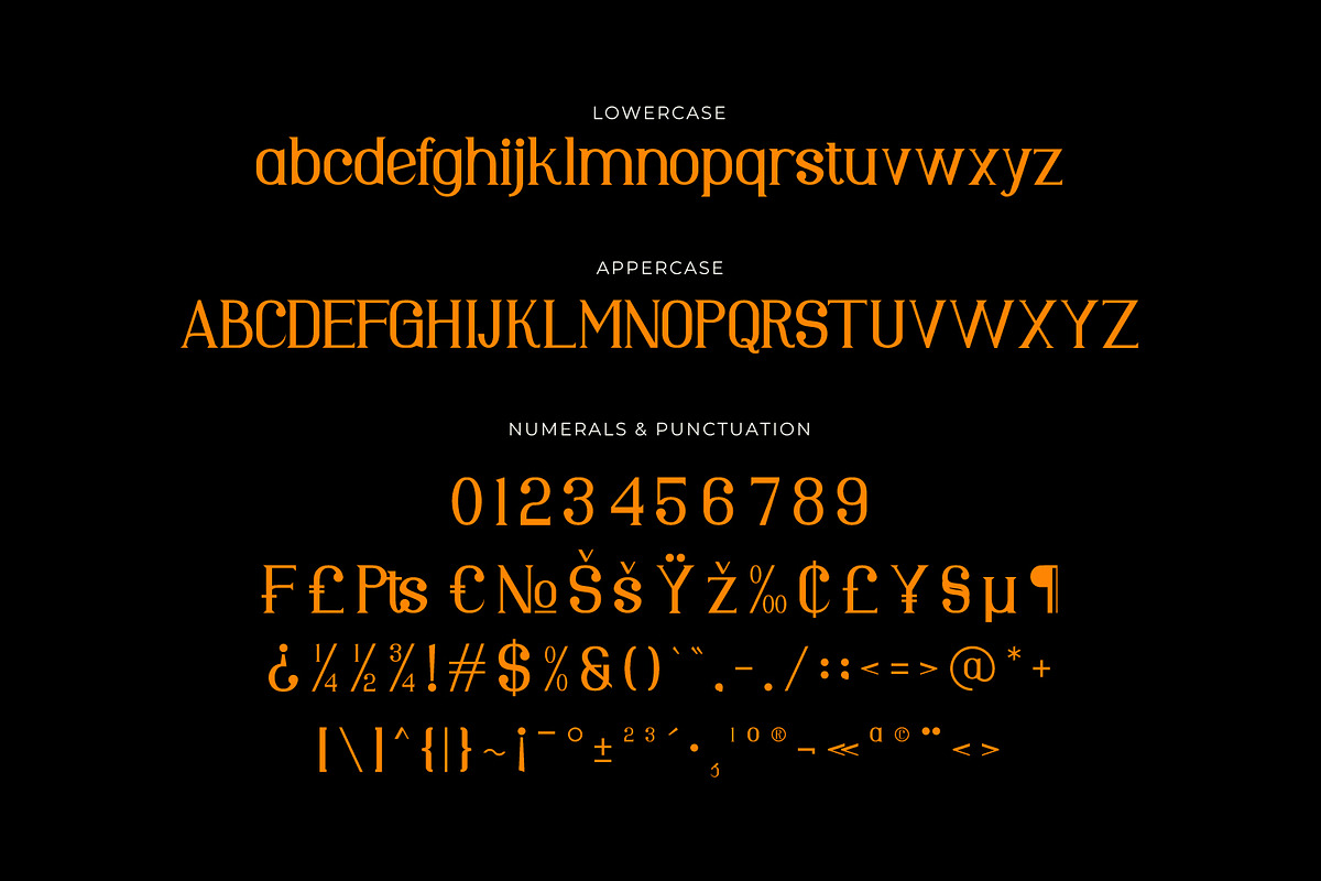 Colvane - Modern Serif Font, a Serif Font by Rishsketch (Photo 13 of 15)