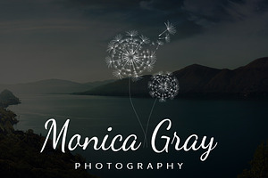 Monica Gray Premium Premade Photogra