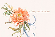 Wild Flower Clip art, a Decorative Illustration by Ekaproeka (Thumbnail 5 of 10)