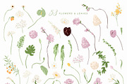 Floral Vector Illustration & Pattern, a Decorative Illustration by Inna Moreva (Thumbnail 6 of 11)