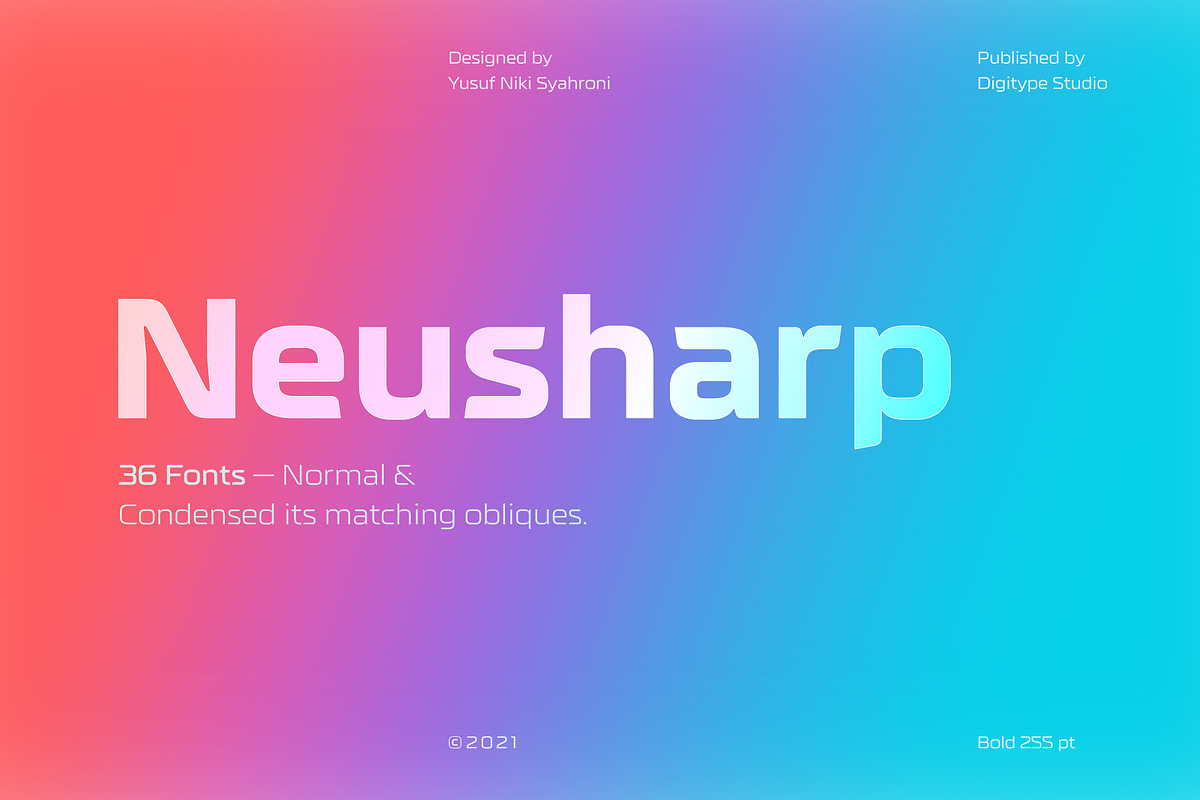 Neusharp Complete Family, a Sans Serif Font by Digitype Studio (Photo 12 of 12)
