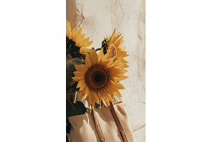 Sunflowers arranged near a bag, a Nature Photo by Beautiful things
