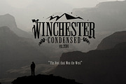 Winchester Condensed Font, a Slab Serif Font by DesignSomething (Thumbnail 4 of 5)
