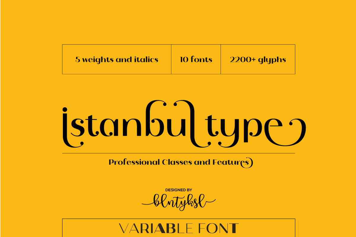 Istanbul Type Variable, a Sans Serif Font by BULENT YUKSEL (Photo 1 of 12)