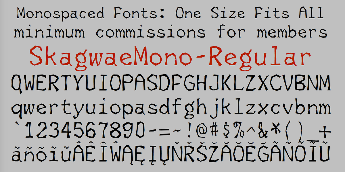 SkagwaeMono, a Sans Serif Font by Ingrimayne Type (Photo 4 of 5)