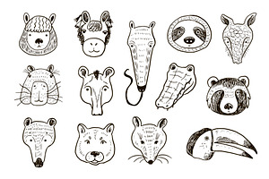 Animals Of South America Funny Faces