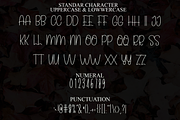 Vintage Handmade, a Serif Font by InermediaSTUDIO (Thumbnail 4 of 8)