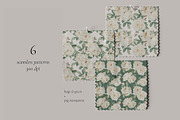 Watercolor White Rose Collection, an Object Illustration by bloomscape (Thumbnail 5 of 13)