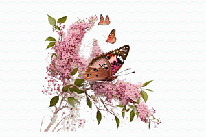 Pink Flower Butterfly Watercolor