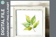 Leaf Illustration Bundle, 20 PNG, a Decorative Illustration by Enliven Designs (Thumbnail 7 of 8)