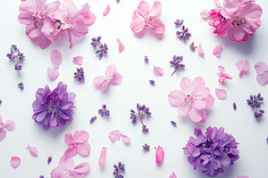 Fresh blossoms arranged artfully on, a Photo by Tanuart