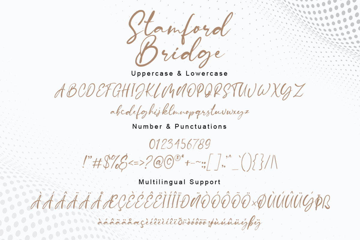 Stamford Bridge Signature Font, a Script Font by Bluestudio (Photo 6 of 11)