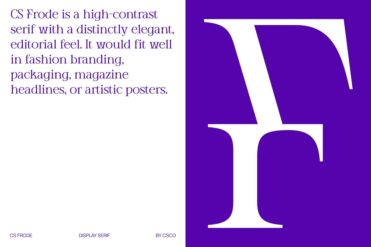 CS Frode – Modern Serif Font, a Serif Font by Craft Supply Co. (Photo 4 of 8)