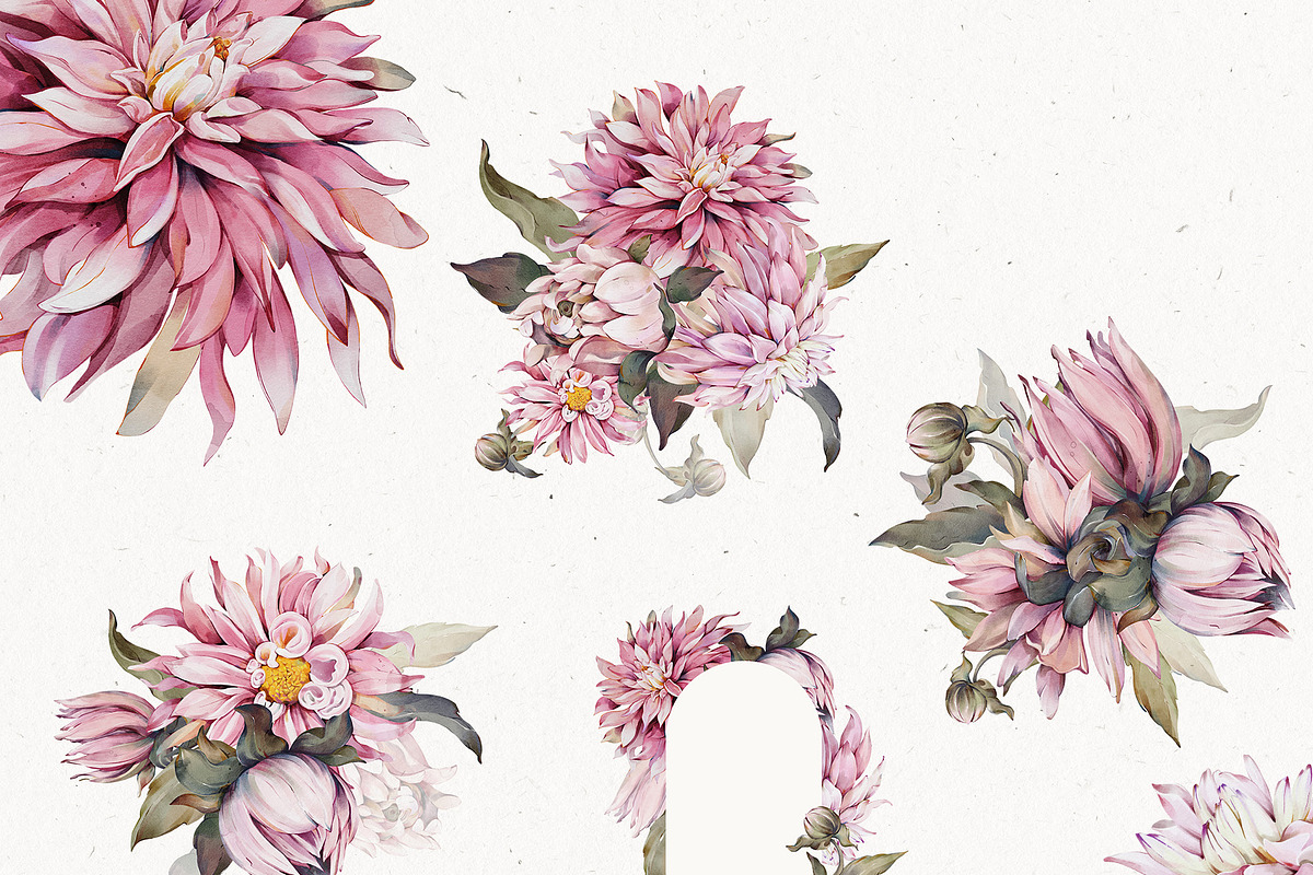 Watercolor Dahlia Floral Elements, a Decorative Illustration by Damian Roh (Photo 9 of 12)