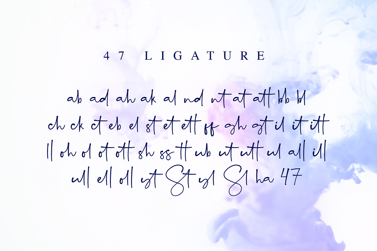 Southaste - a Signature Font, a Script Font by alphArtype (Photo 8 of 11)