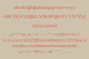 Mikonvis Yonga | Modern Serif Font, a Serif Font by MchCrafter (Thumbnail 14 of 15)