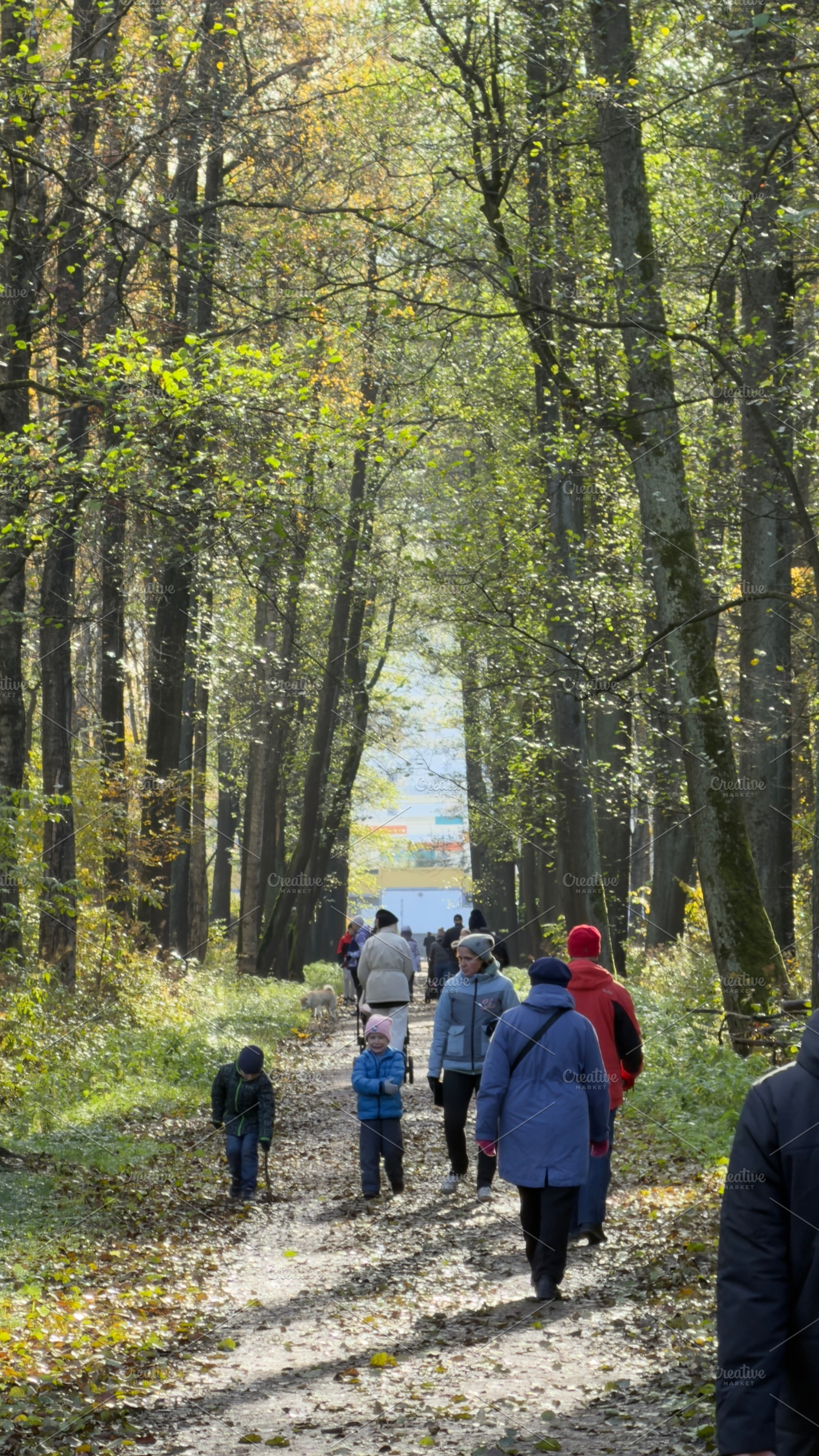 A group of people walking along a forest path surrounded by trees in autumn, wi, a Nature Photo by Textures & Backgrounds